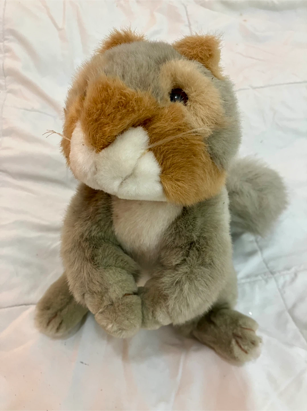 12” Vintage 1992 Ranger Rick Plush Squirrel - Like New - photo 2