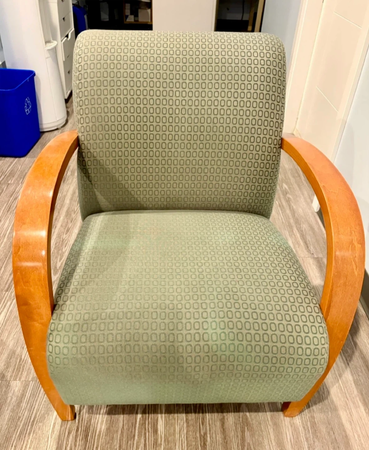Upholstered Armchair - Green Pattern