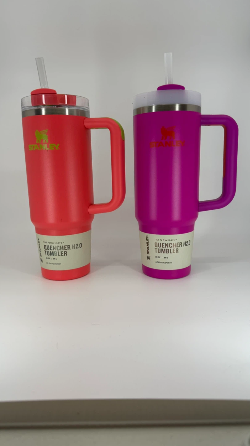 Stanley Tumbler Set of 2