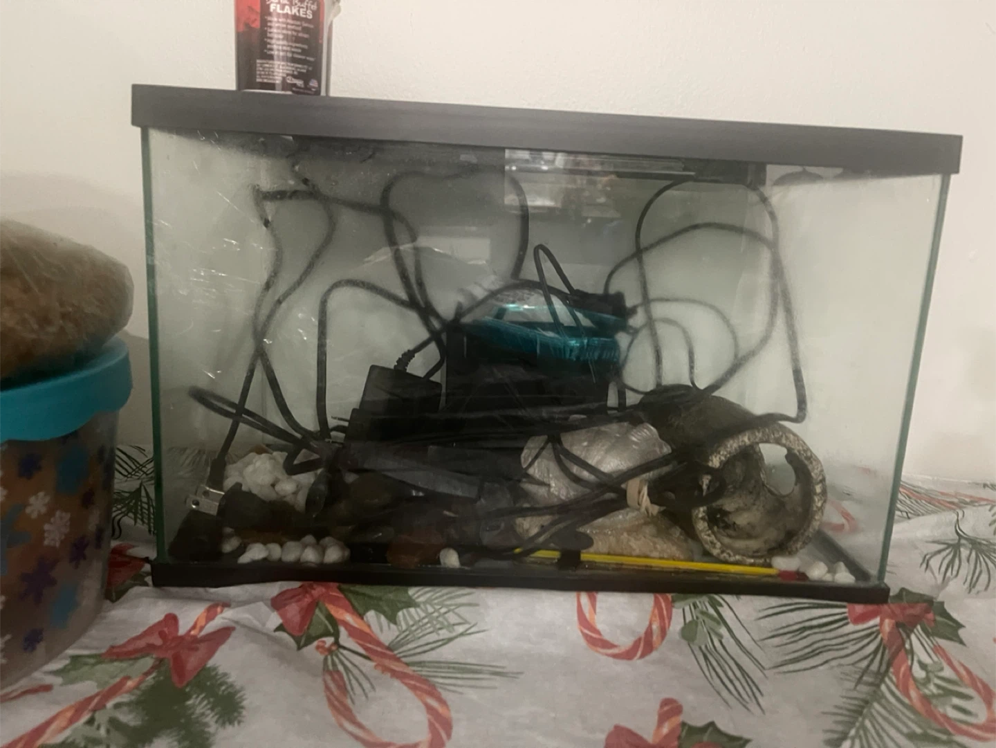 Fish Tank with Accessories
