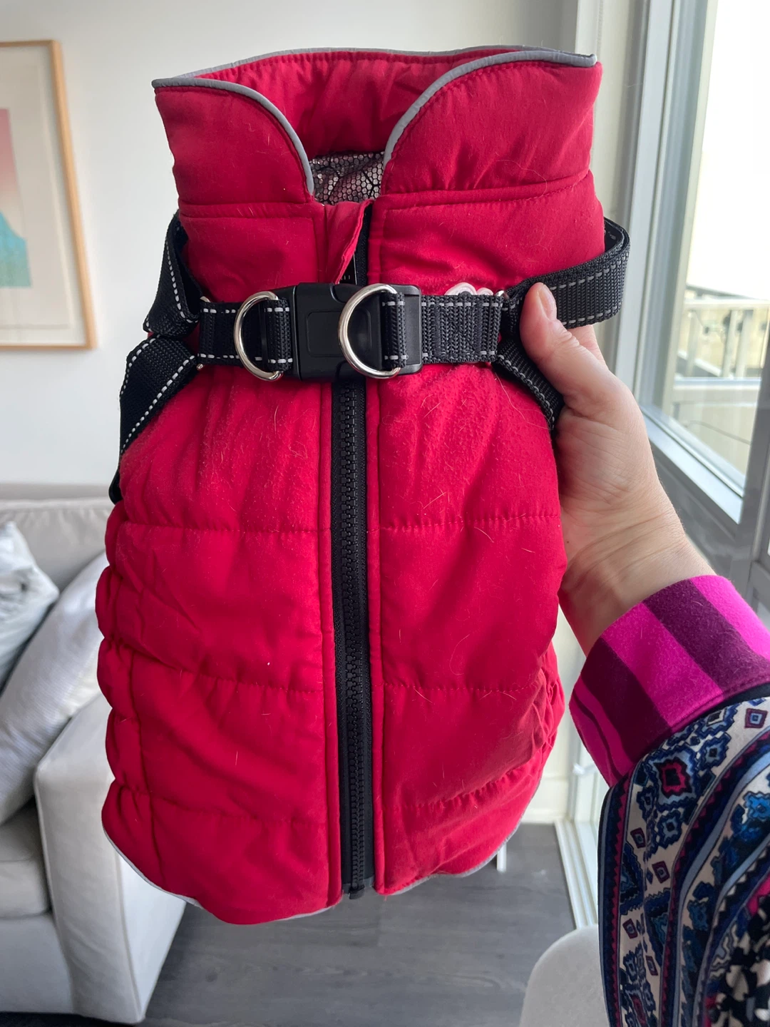 South Paw Harness Coat - S/M
