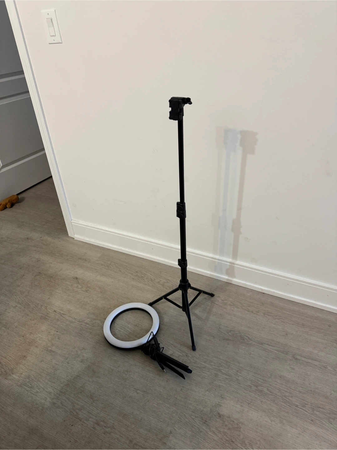 Ring Light & Phone Tripod Stand - photo 2