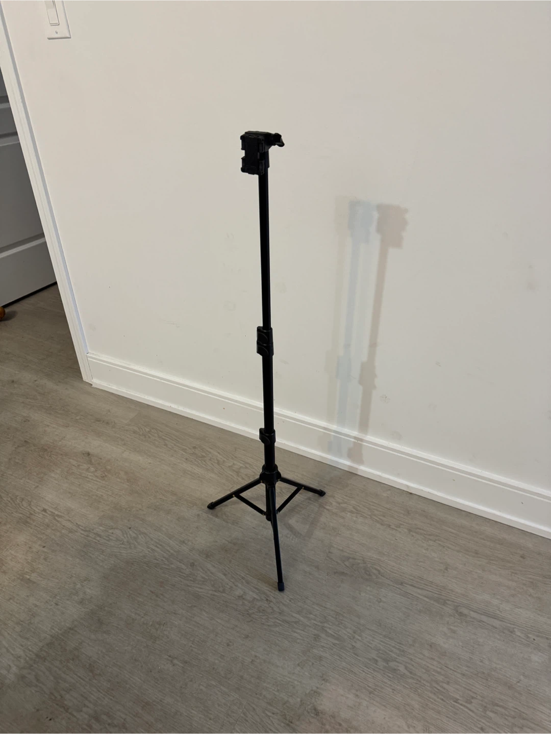 Ring Light & Phone Tripod Stand
