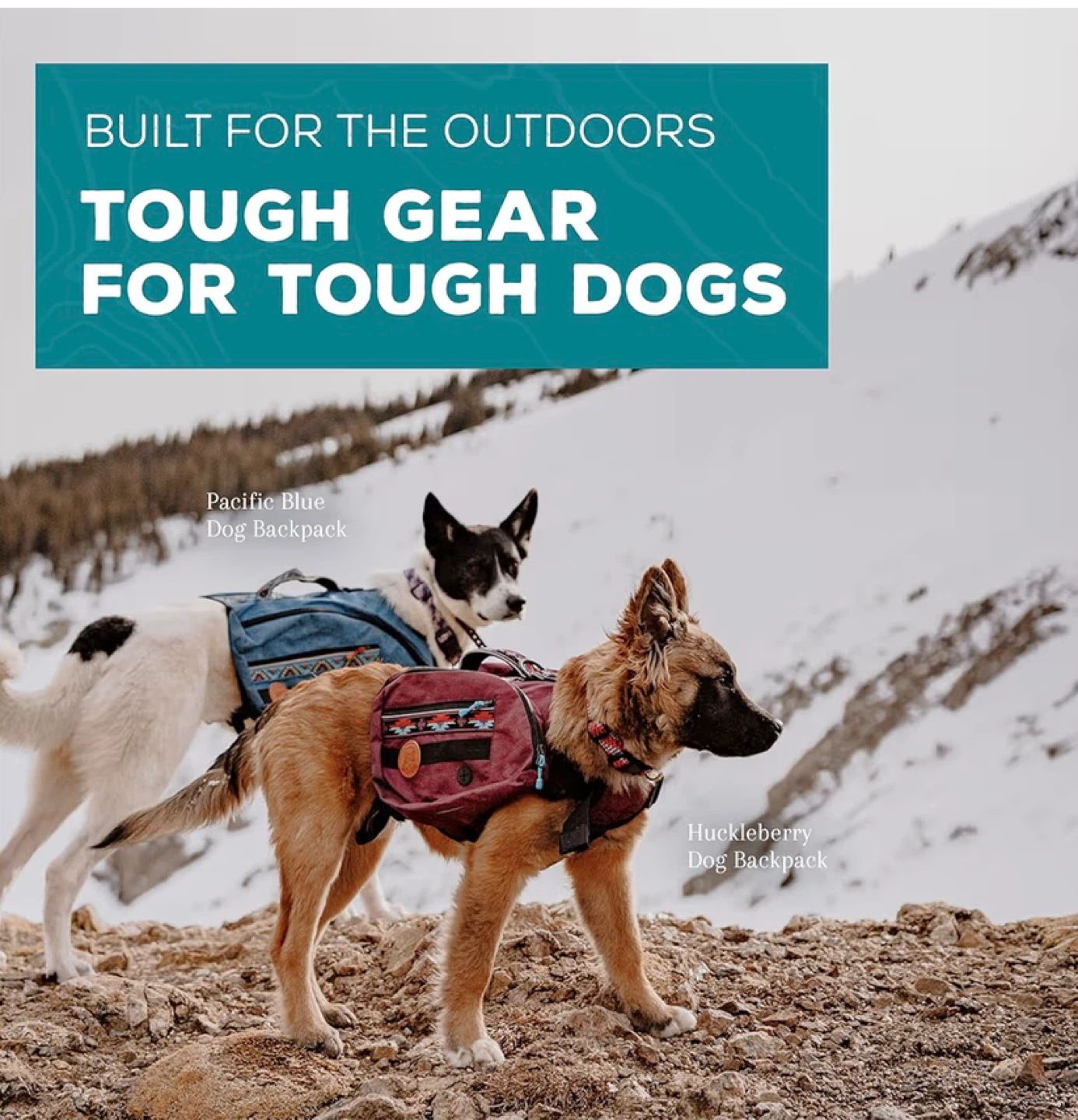 Wilderdog Dog Backpack - Olive Green - photo 4