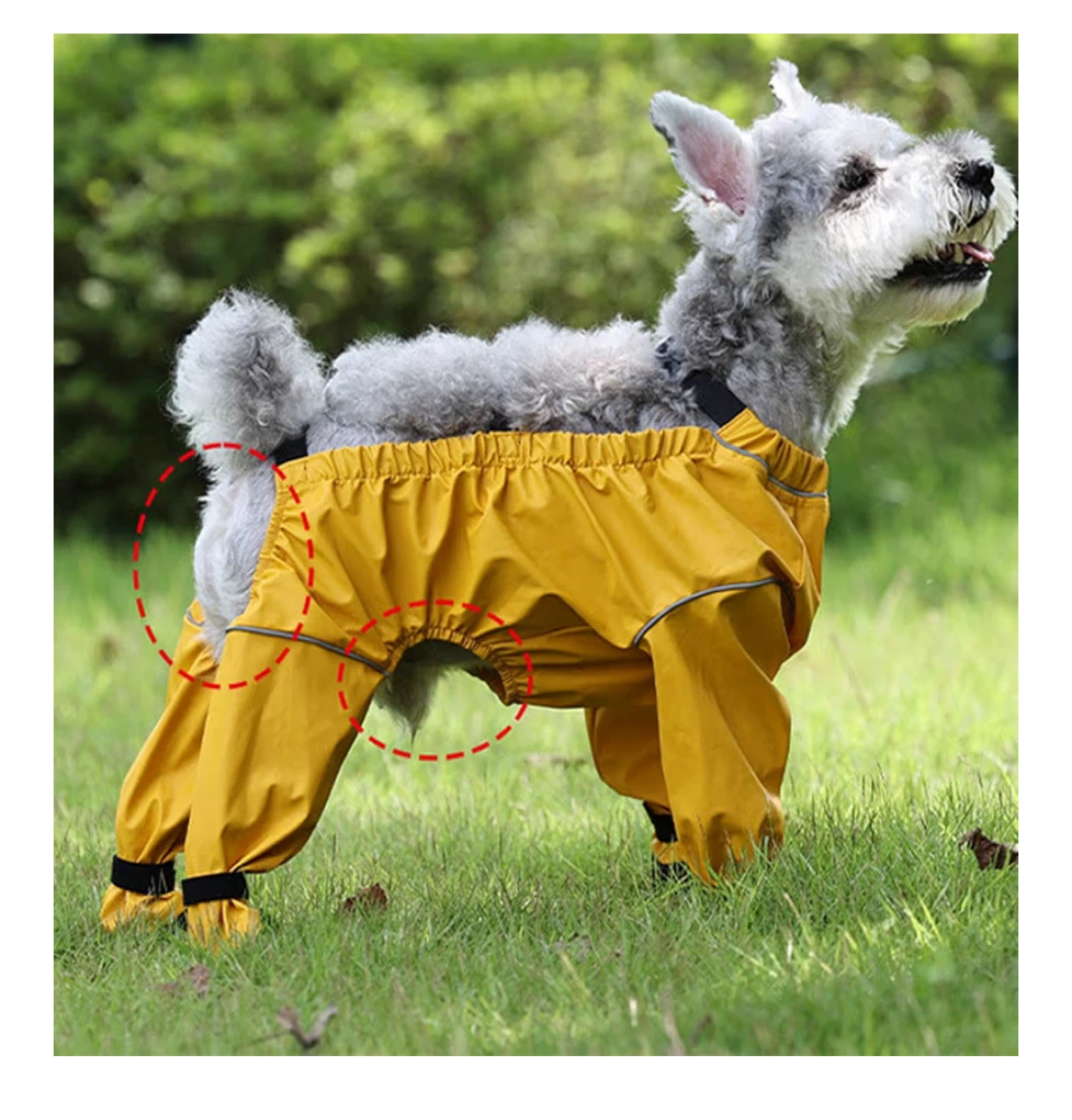 SMALL Waterproof Dog Boots with Suspenders - photo 5
