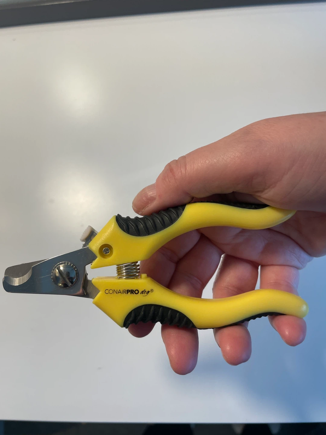 Free dog nail trimmers