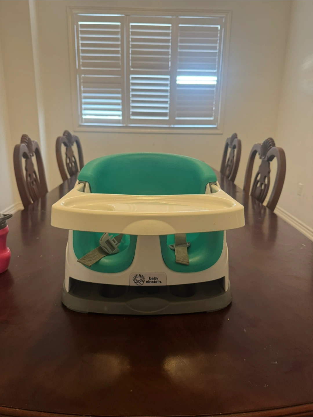 Baby Einstein Booster Seat - Green & White - photo 3