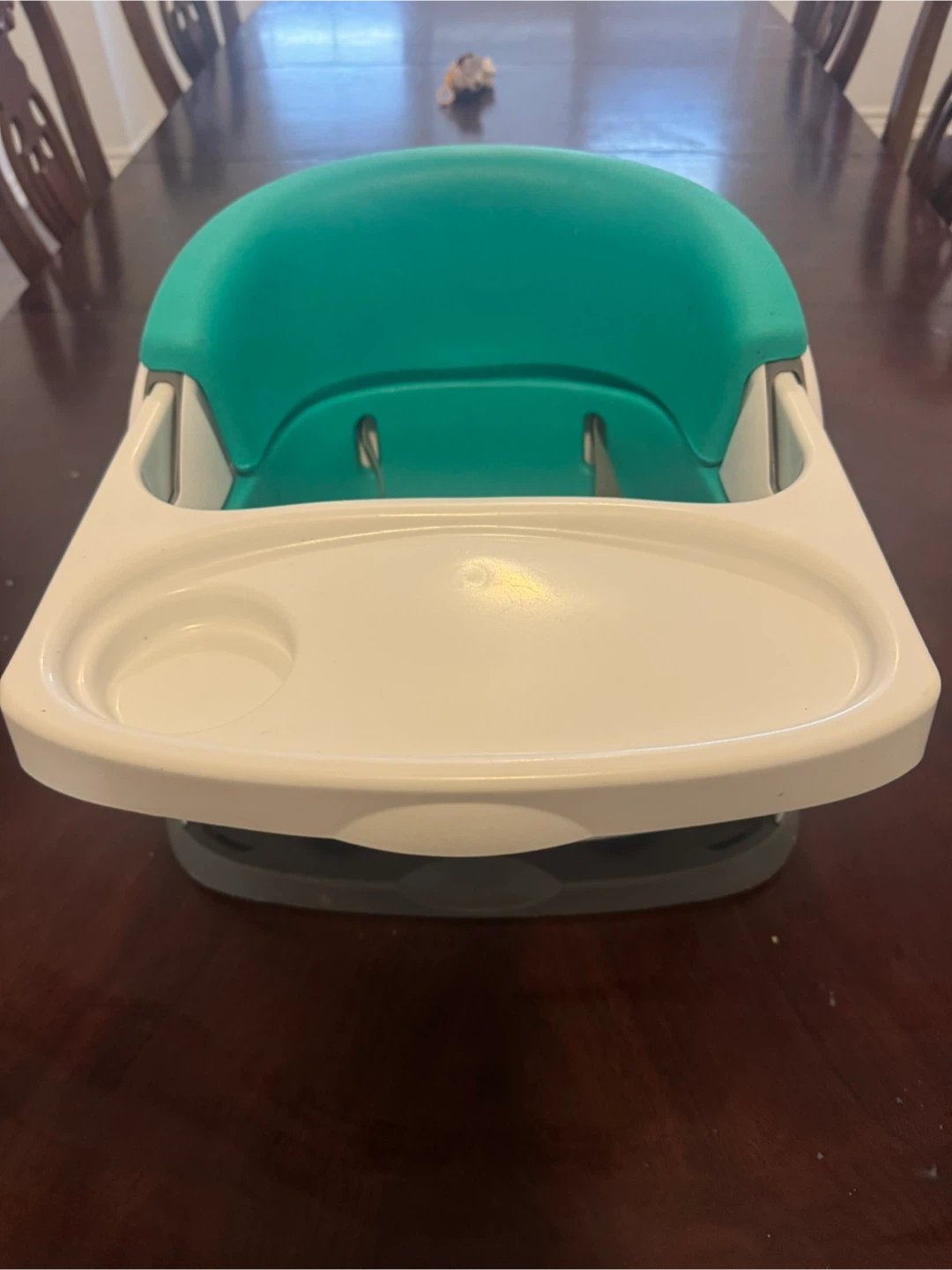 Baby Einstein Booster Seat - Green & White