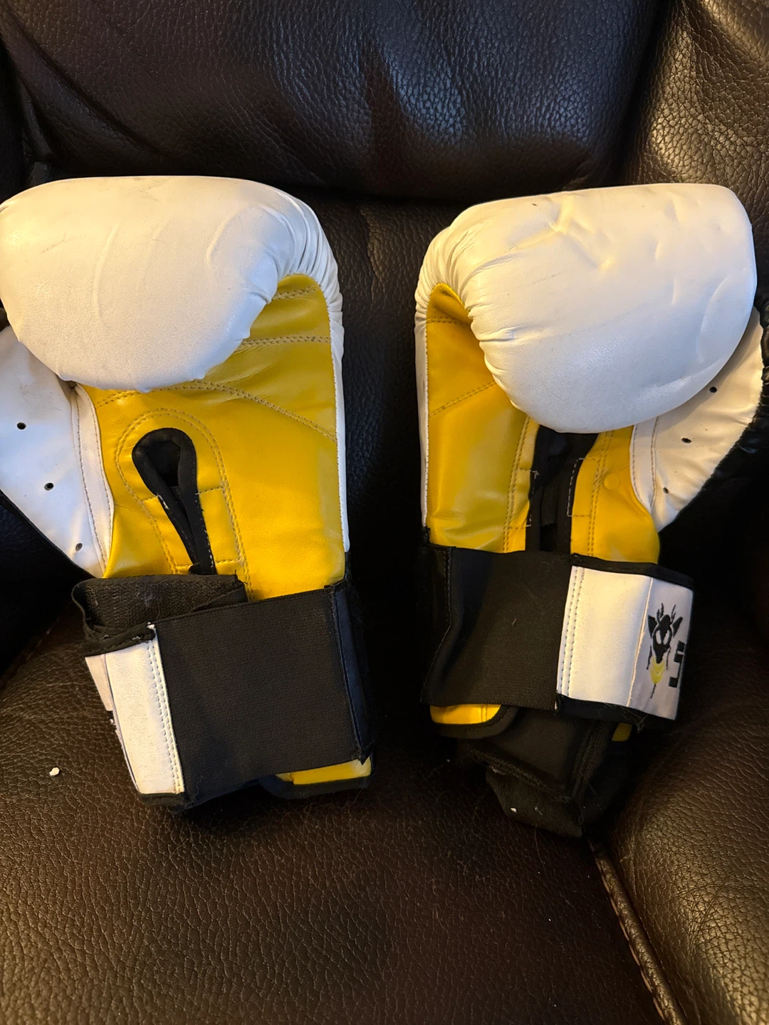 Stinger Boxing Gloves, 10 oz - photo 3