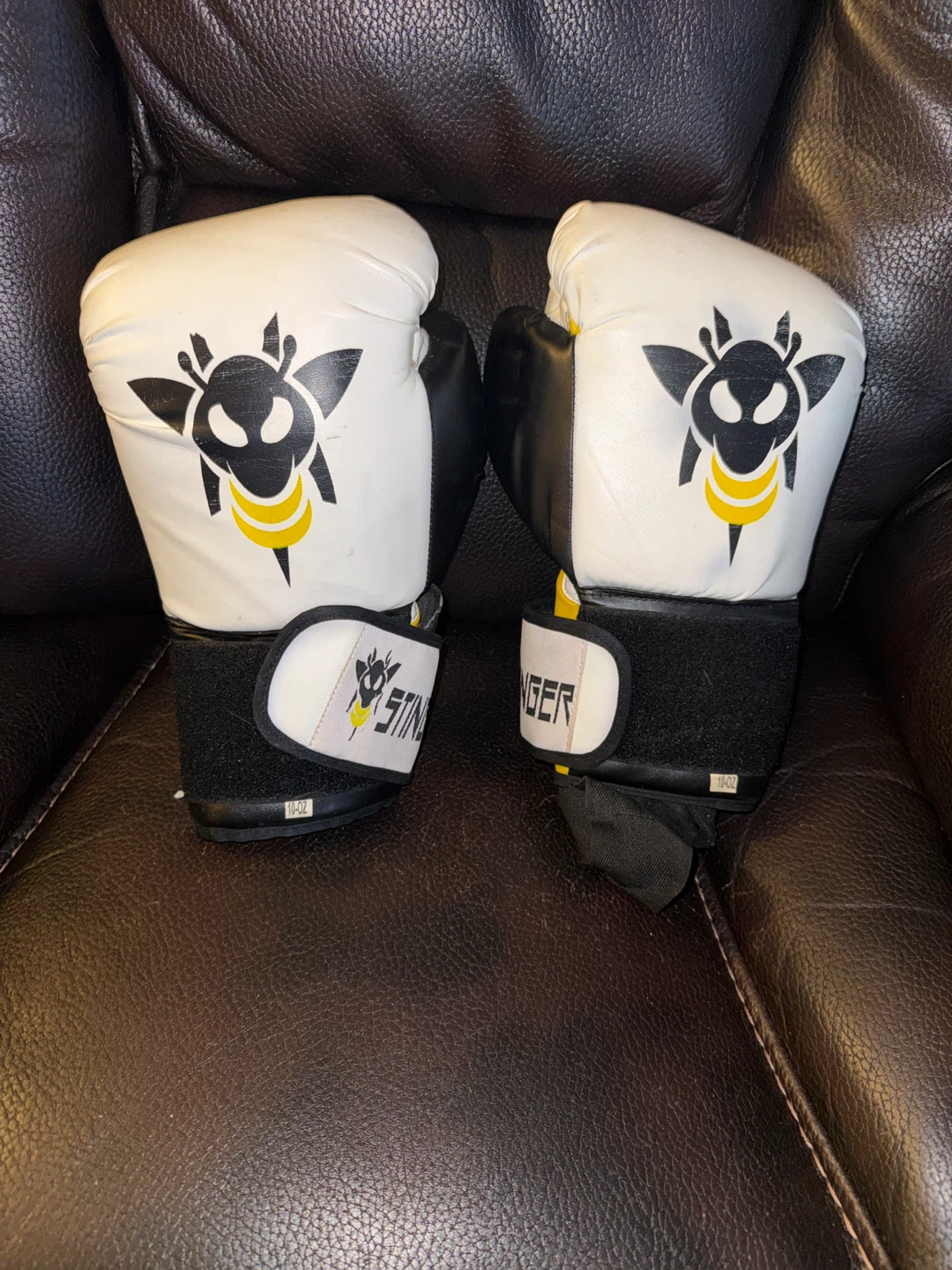 Stinger Boxing Gloves, 10 oz
