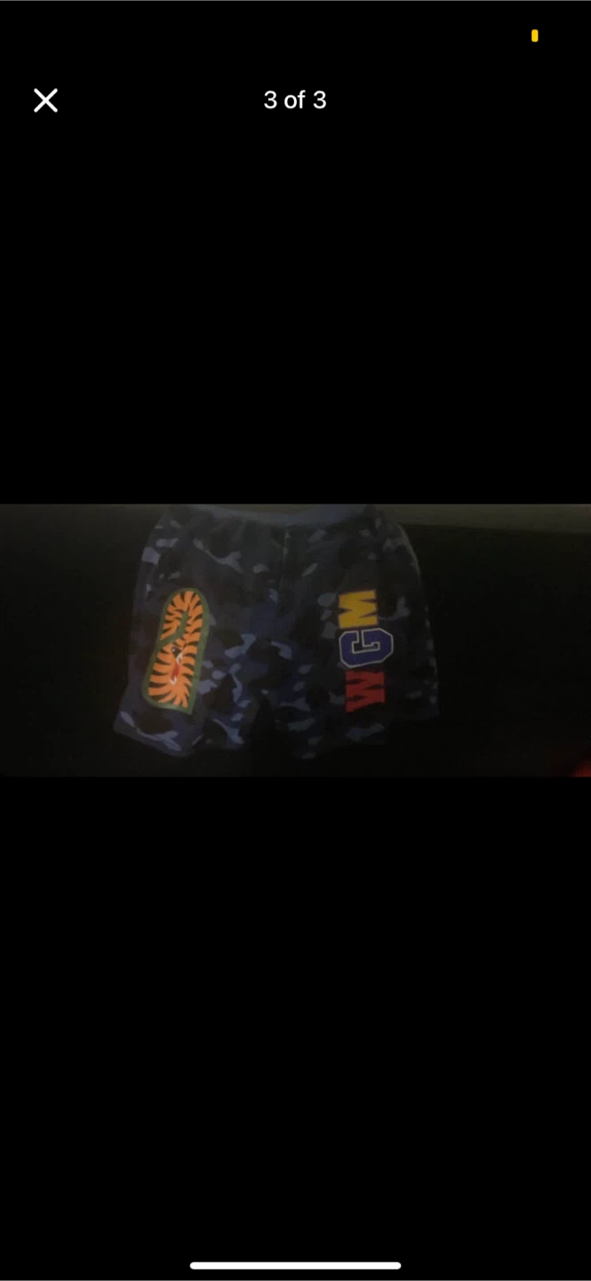 Bathing Ape Shorts blue - photo 3