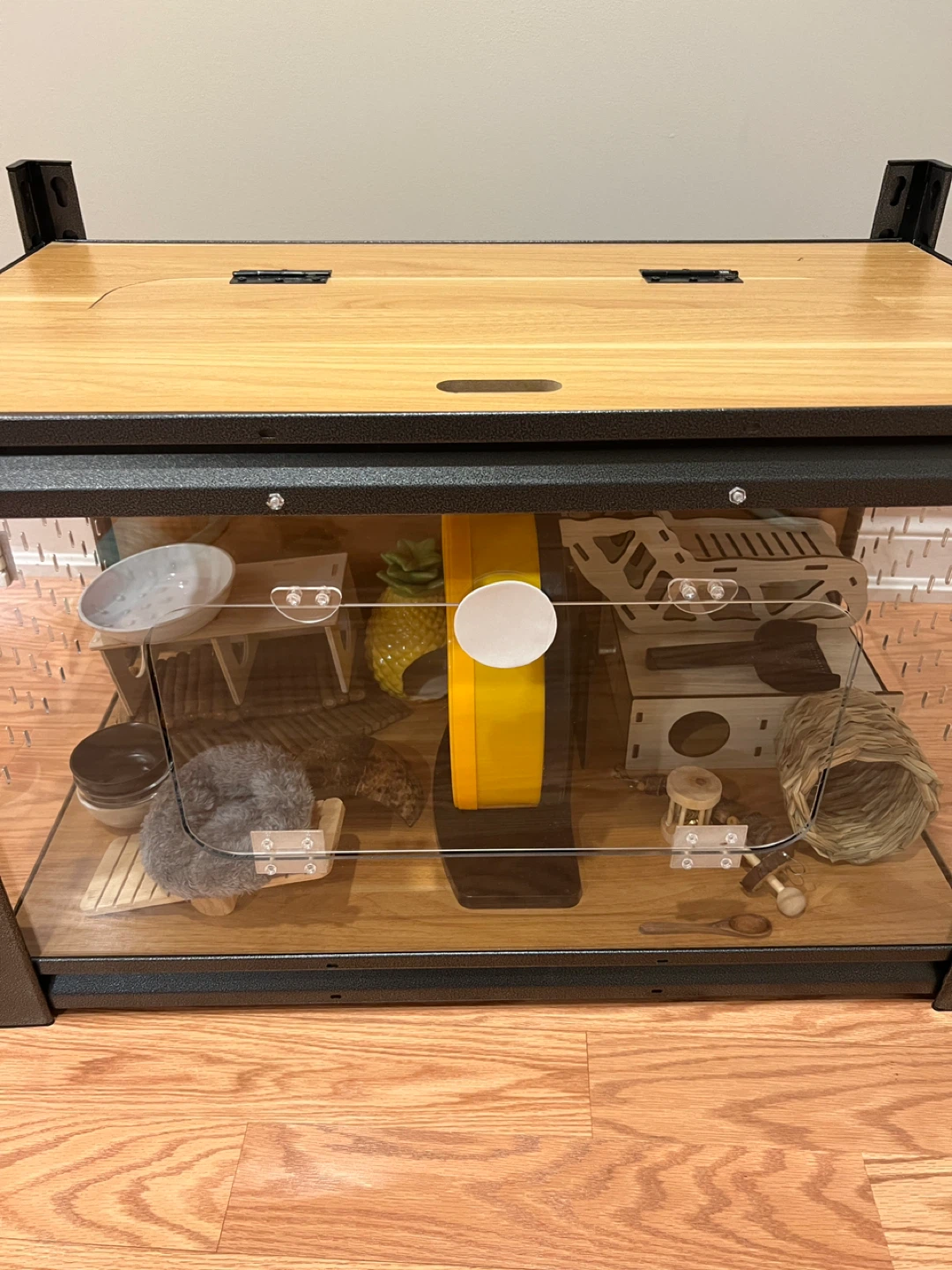 Hamster Cage + Accessories