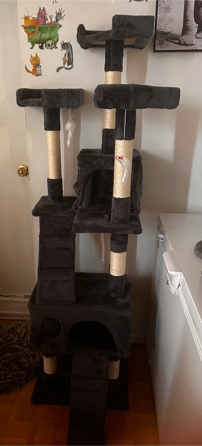 CAT TOWER  STARTED (USE LIKE NEW)