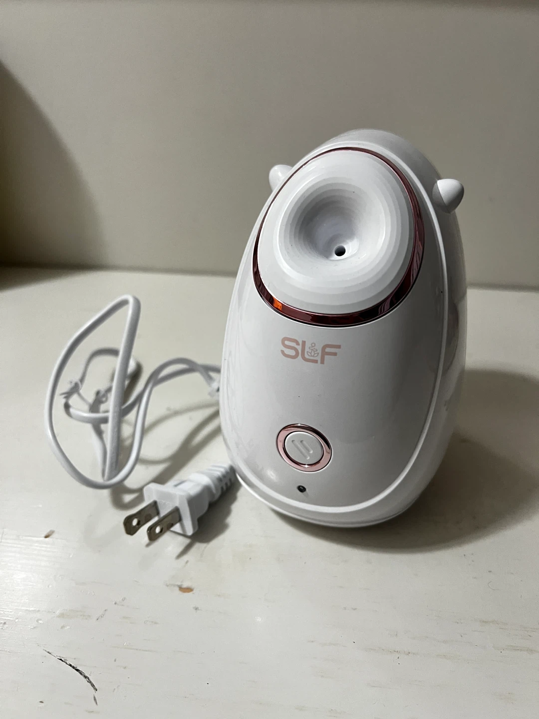 SL&F Facial Steamer