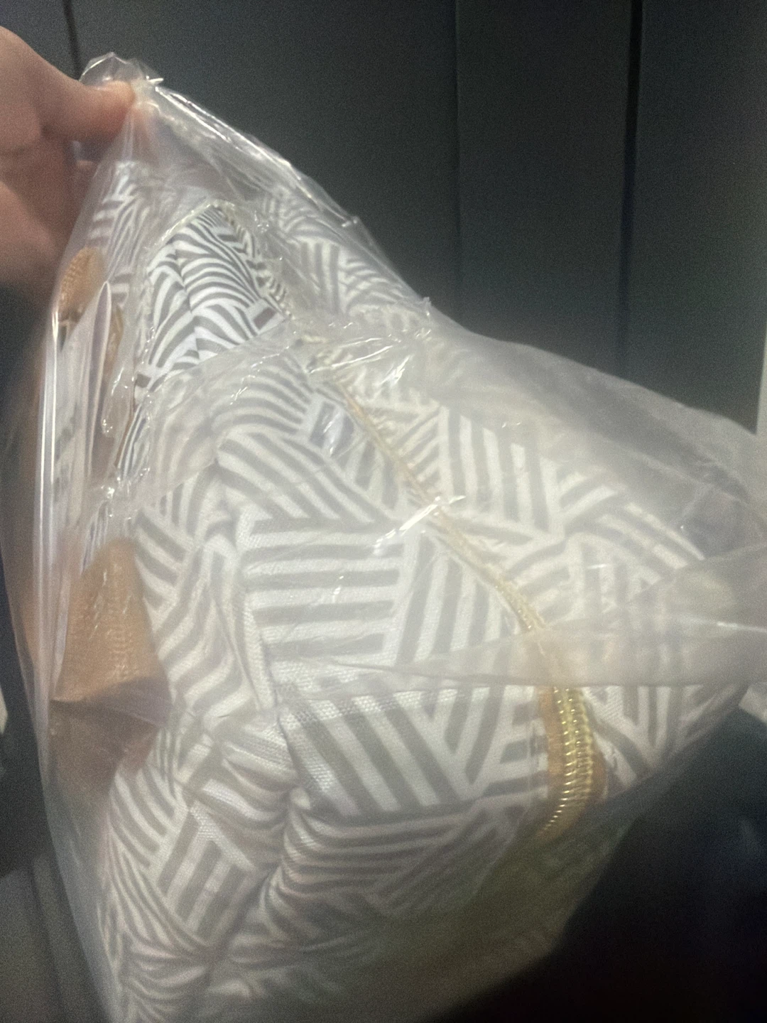Fit + Fresh Lunch Tote - New with Kit - photo 2