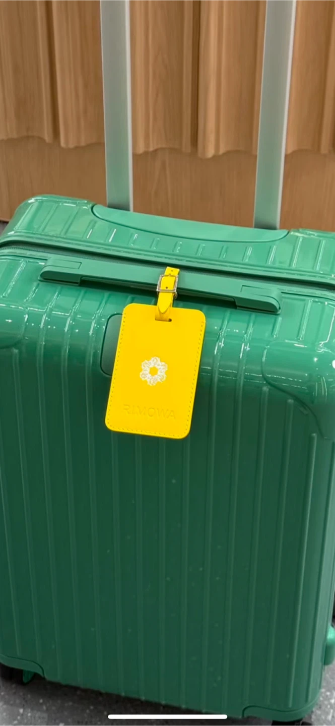 Rimowa Luggage - Green