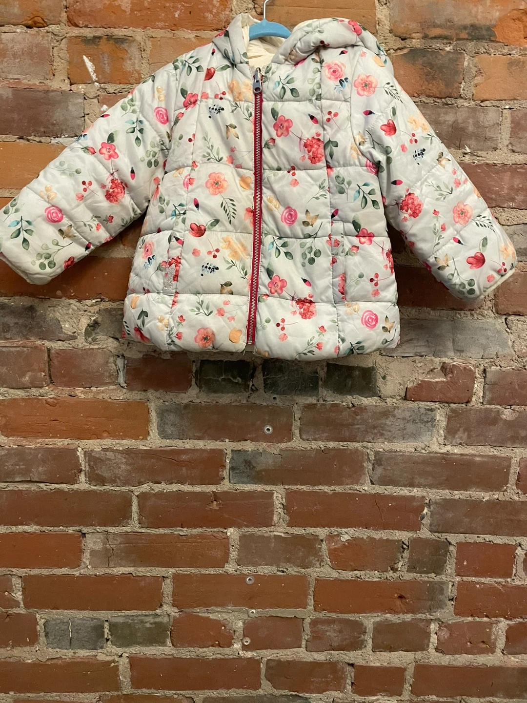 Zara Baby Girl Floral Puffer Jacket - Size 3/4