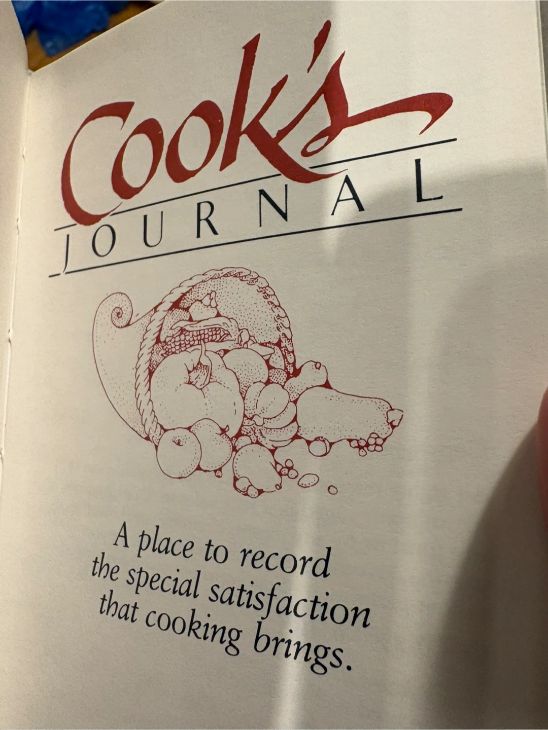 Cook's Journal Recipe Book - photo 4