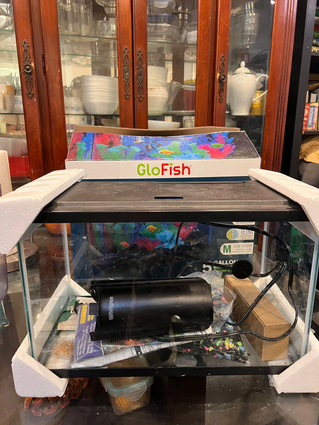 GloFish 5-Gallon Aquarium Kit - photo 2