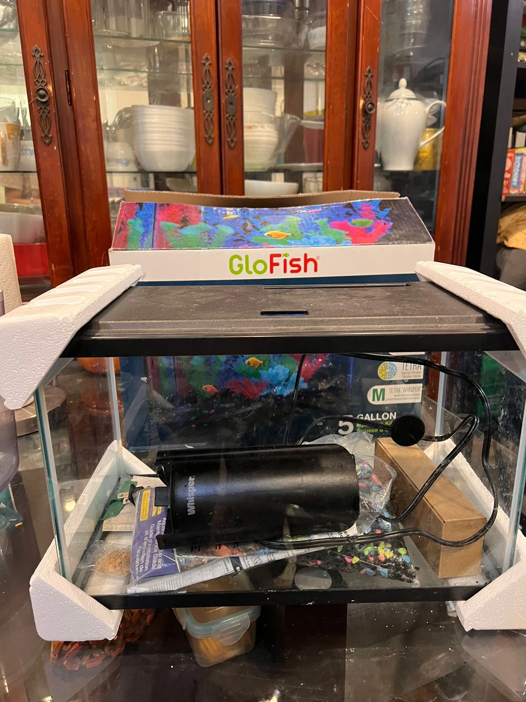 GloFish 5-Gallon Aquarium Kit