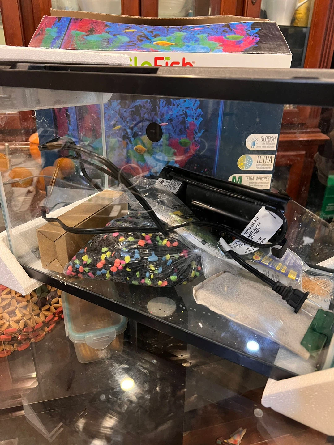 GloFish 5-Gallon Aquarium Kit - photo 5
