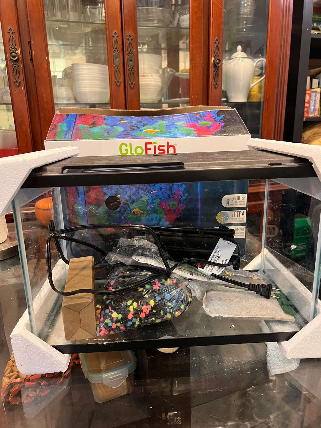 GloFish 5-Gallon Aquarium Kit - photo 3