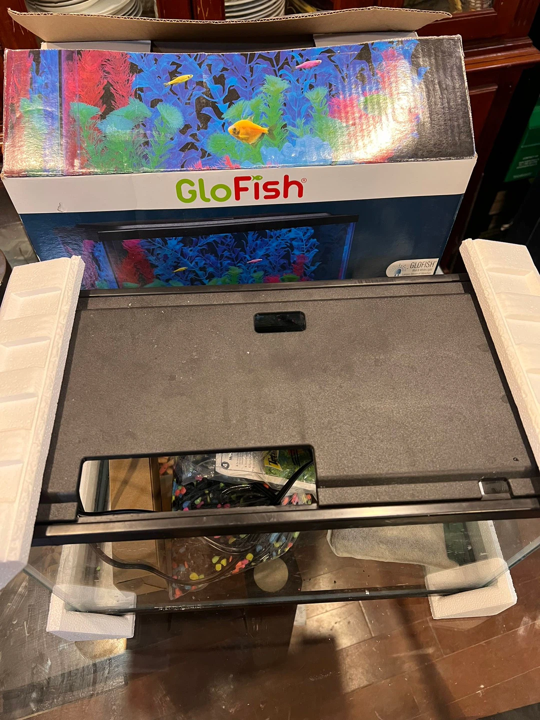 GloFish 5-Gallon Aquarium Kit - photo 4