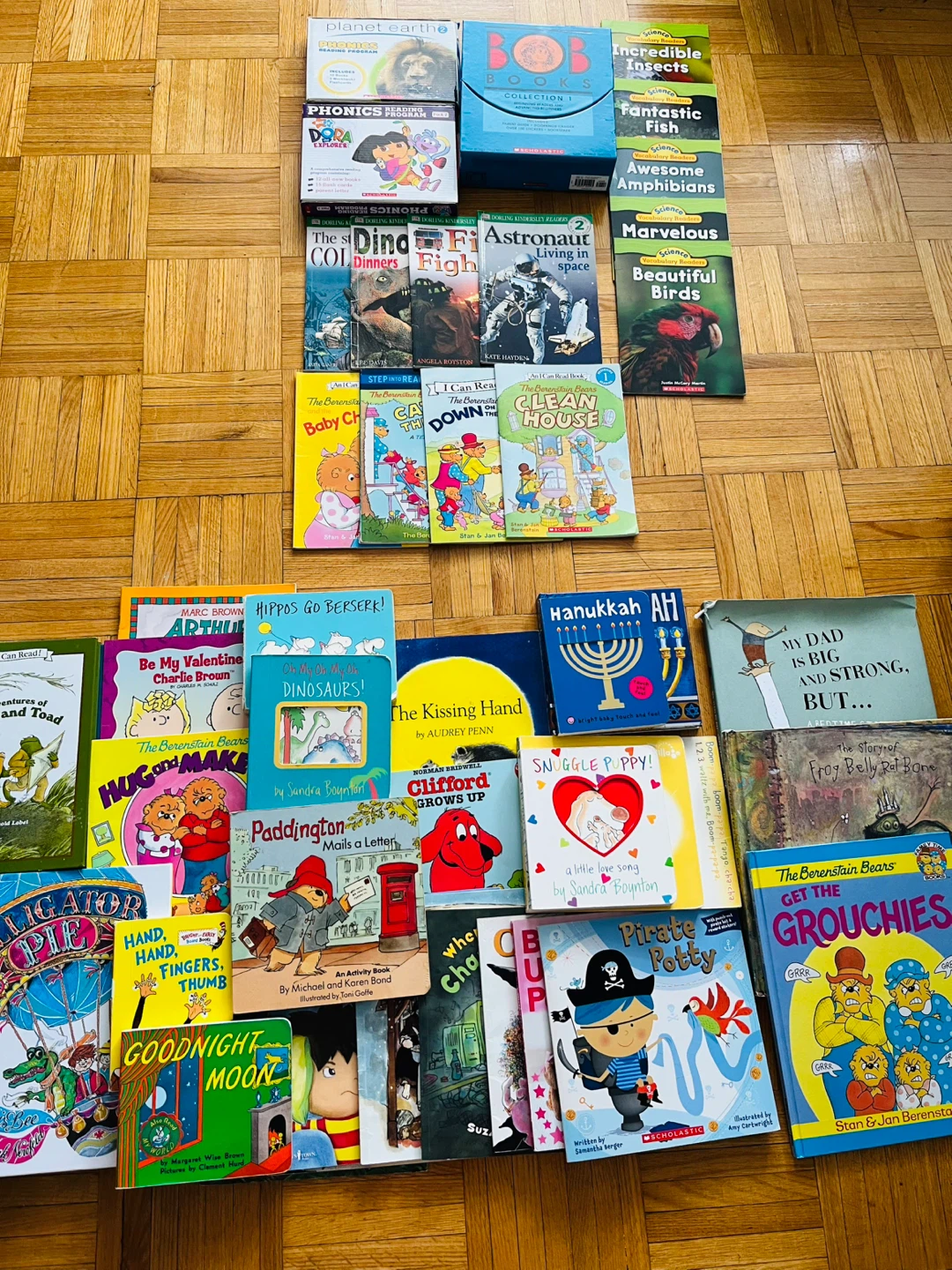 Kids' Books - Berenstain Bears, Science Readers & More!