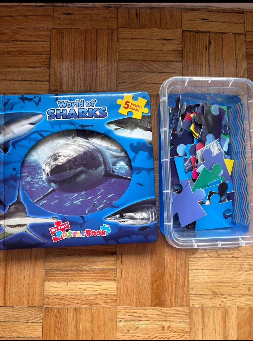 shark puzzle book (5 puzzles on each page)
