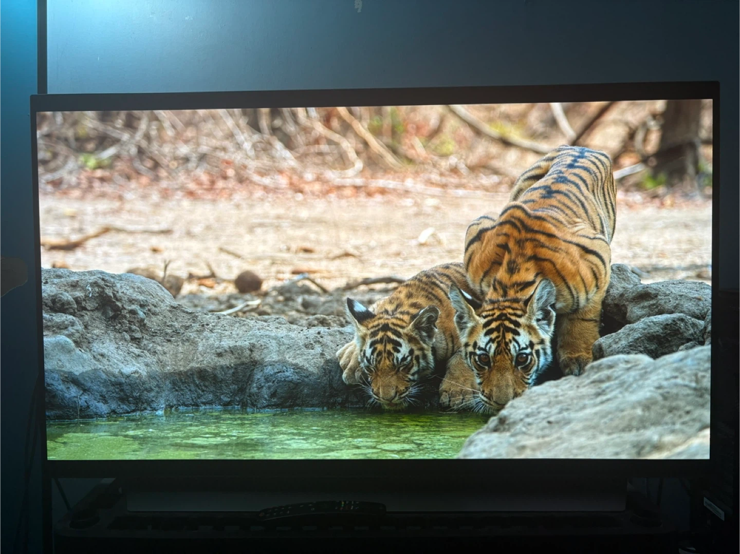 Lg c2 48 inch oled - photo 5