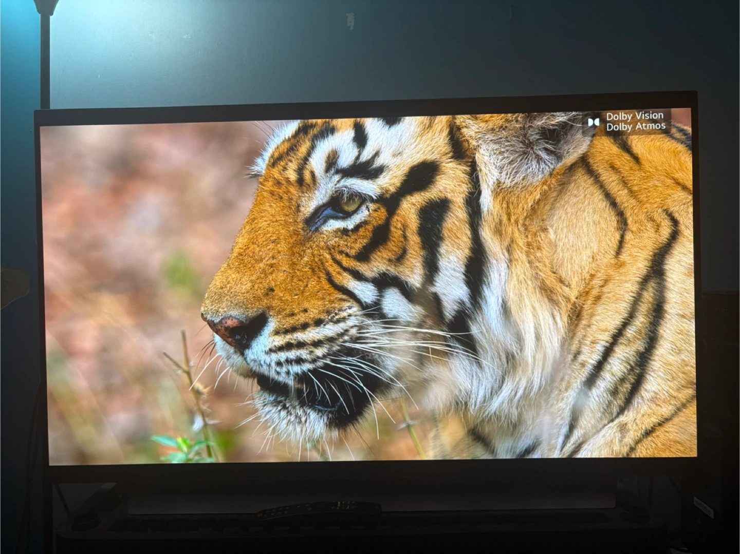 Lg c2 48 inch oled - photo 4
