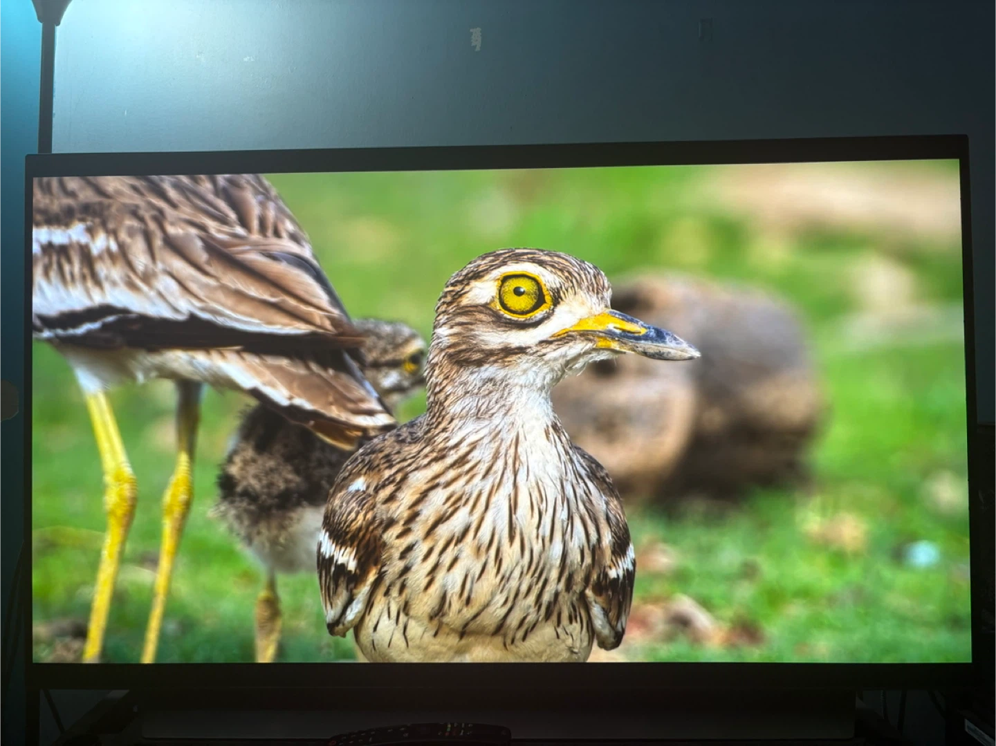 Lg c2 48 inch oled - photo 3