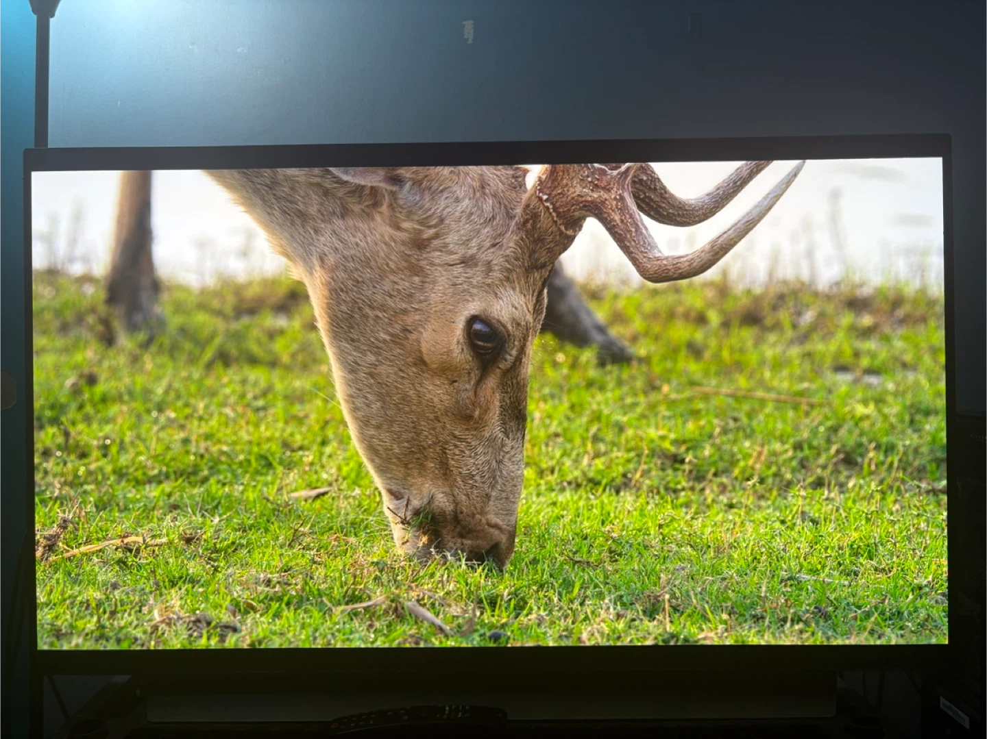 Lg c2 48 inch oled - photo 2