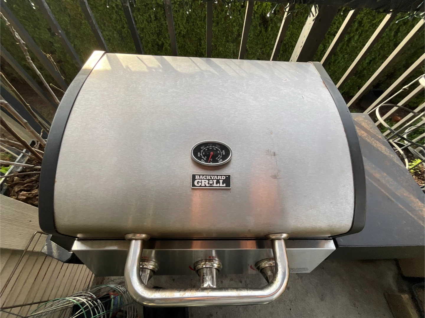 Backyard Grill BBQ - photo 3