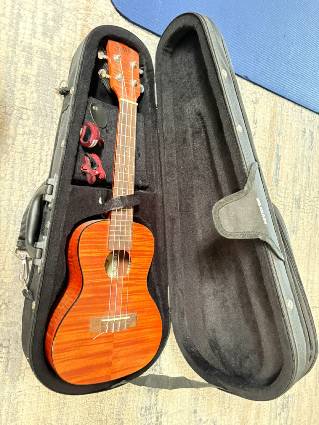 2 Ukuleles with Case and Snark Tuner
