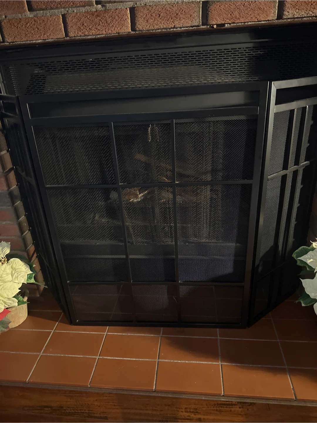 Fireplace Screen - photo 2