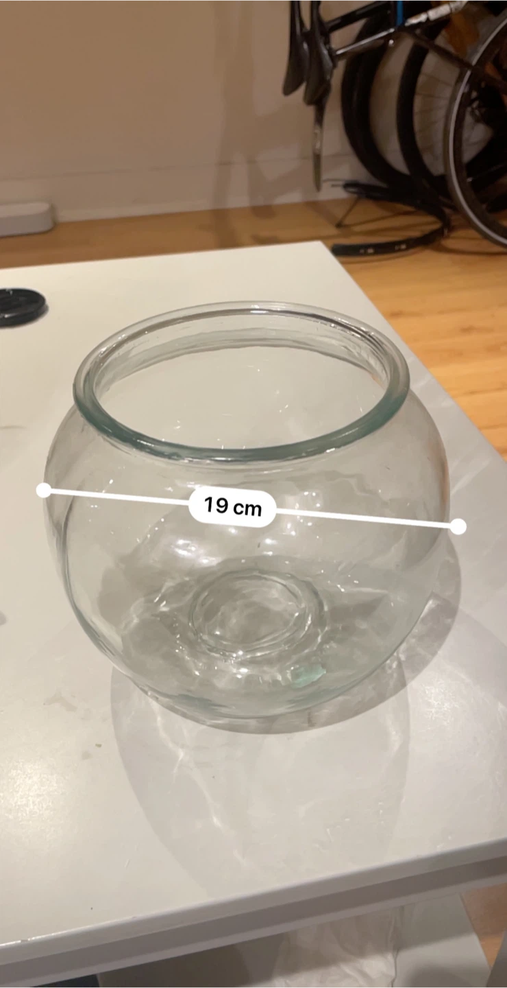 Clear Glass Round Vase - 19cm - photo 3