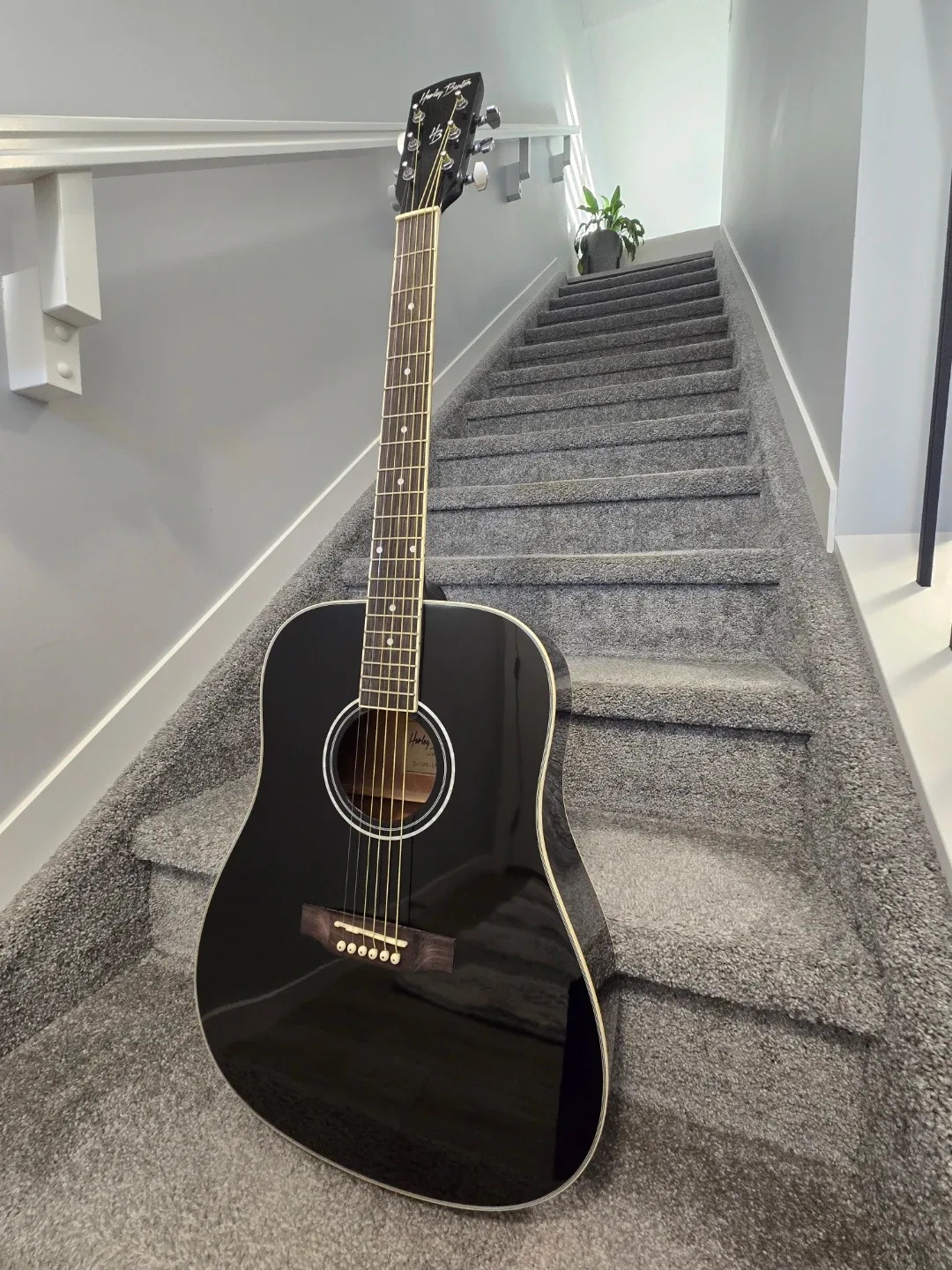 Harley Benton D120 AG