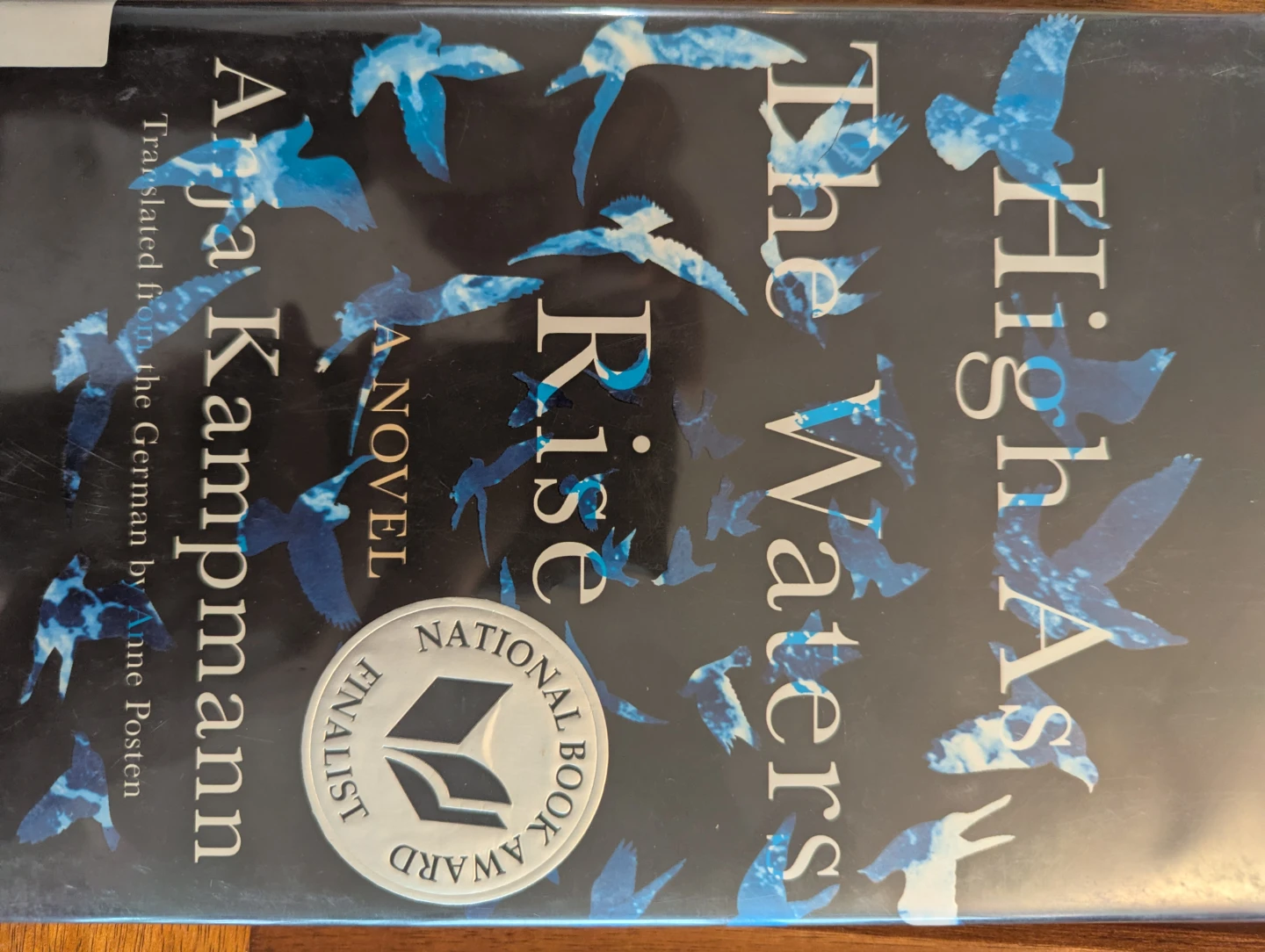 Book Bundle: High As The Waters, Here We Are, The Siren, etc - photo 4