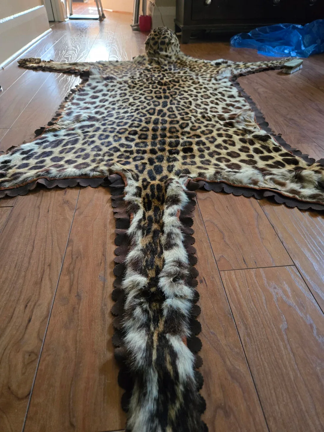 Rug image indicator(7)