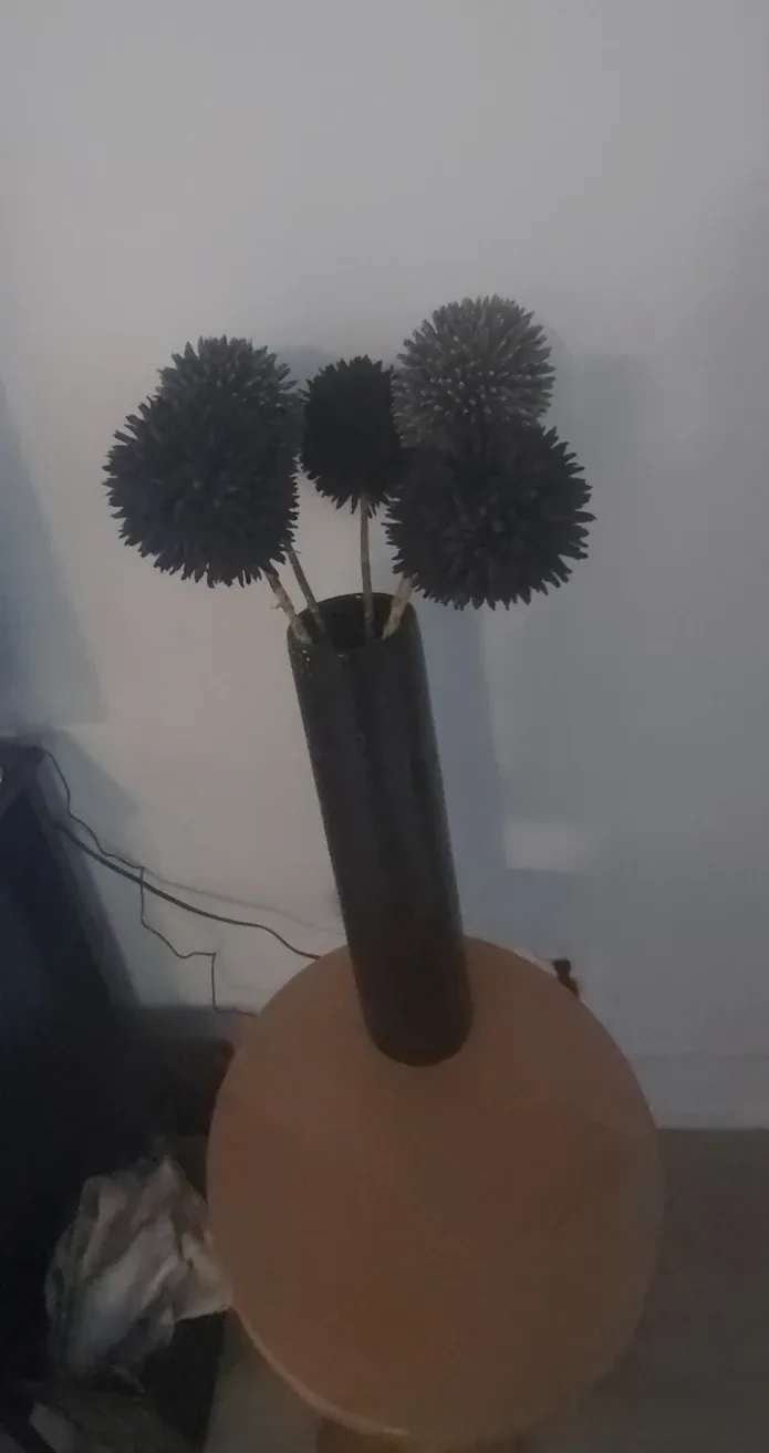 Vases, statue, flowers image indicator(7)