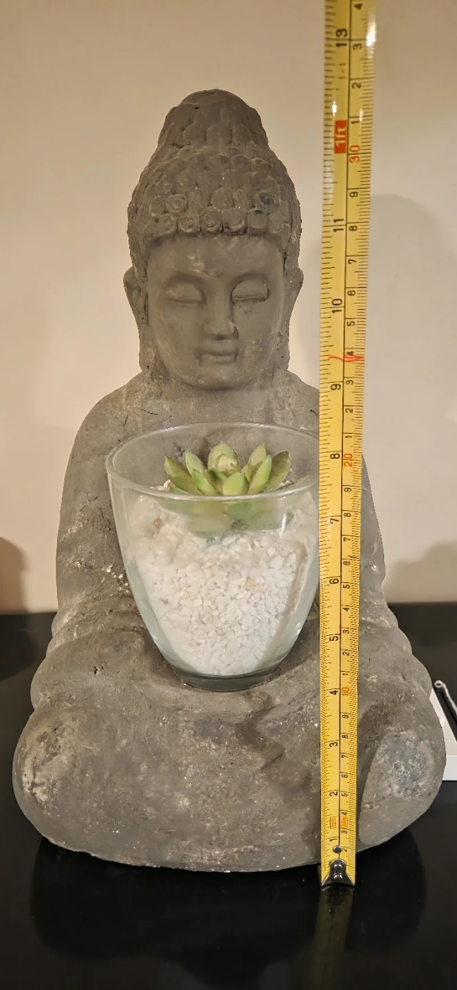 Buddha Statue with Succulent - photo 2