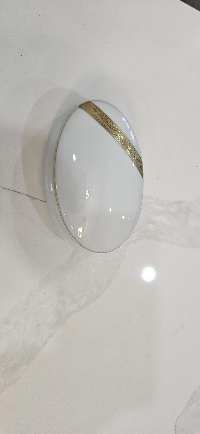 Limoges France Trinket Dish