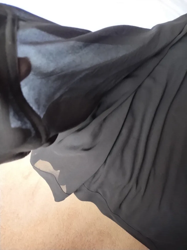 #Cleanout Black Sheer Top image indicator(2)