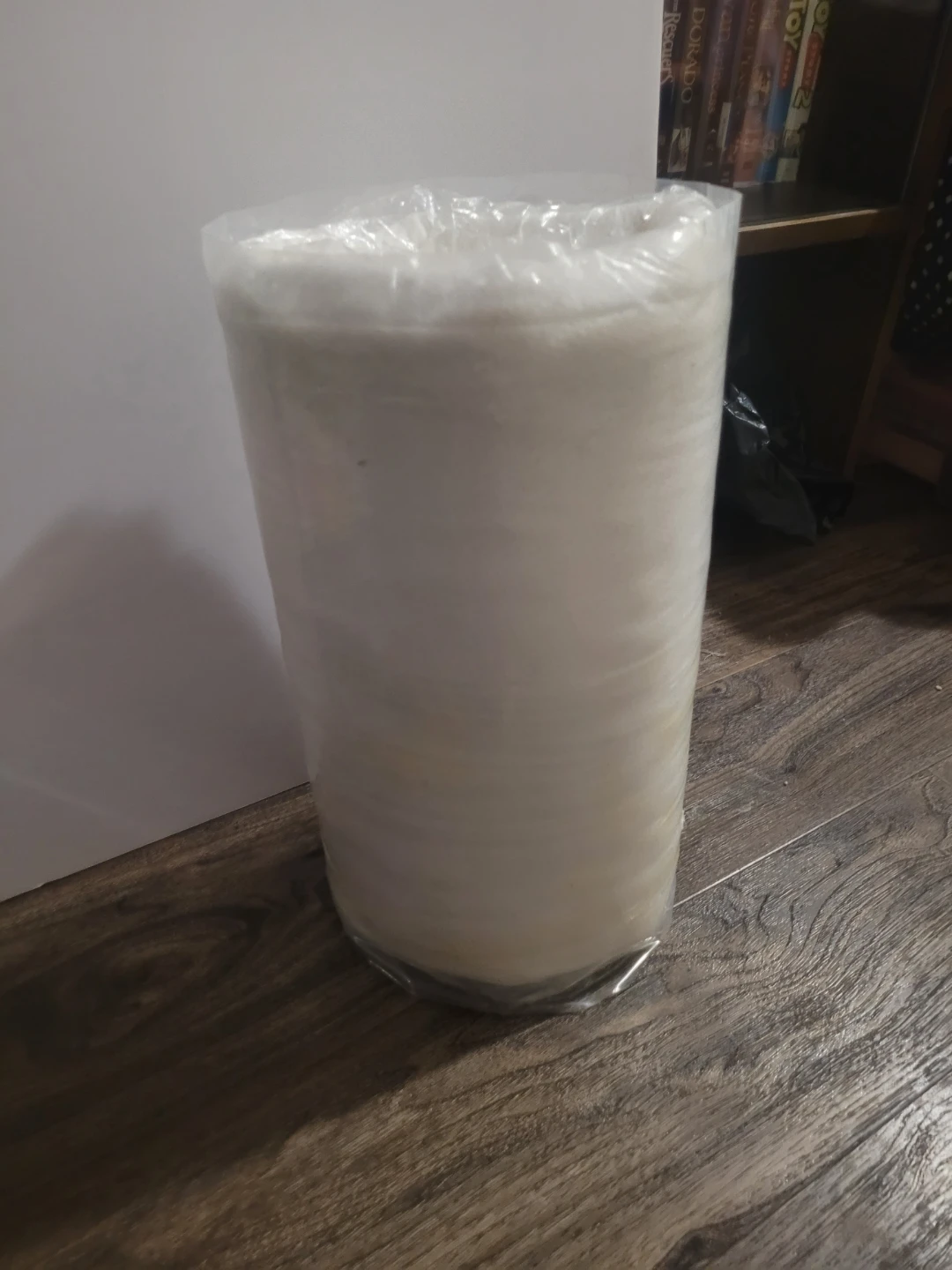 BNIP body pillow