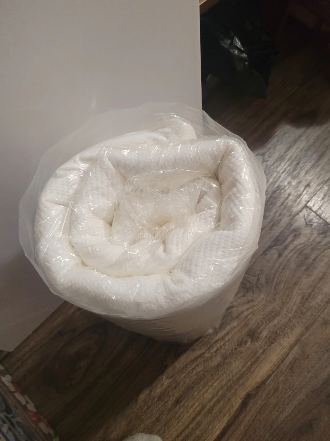 BNIP body pillow - photo 2