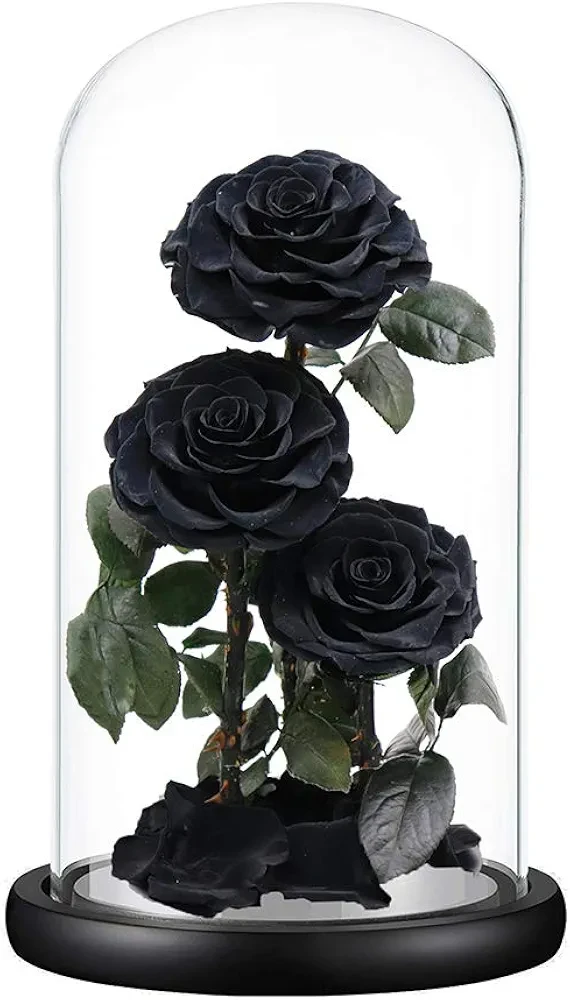Preserved Black Roses in Glass Dome - photo 2