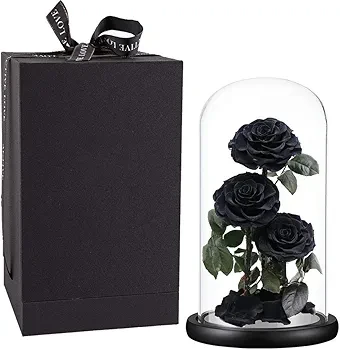 Preserved Black Roses in Glass Dome - photo 3