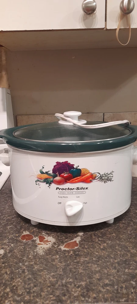 Proctor Silex Slow Cooker