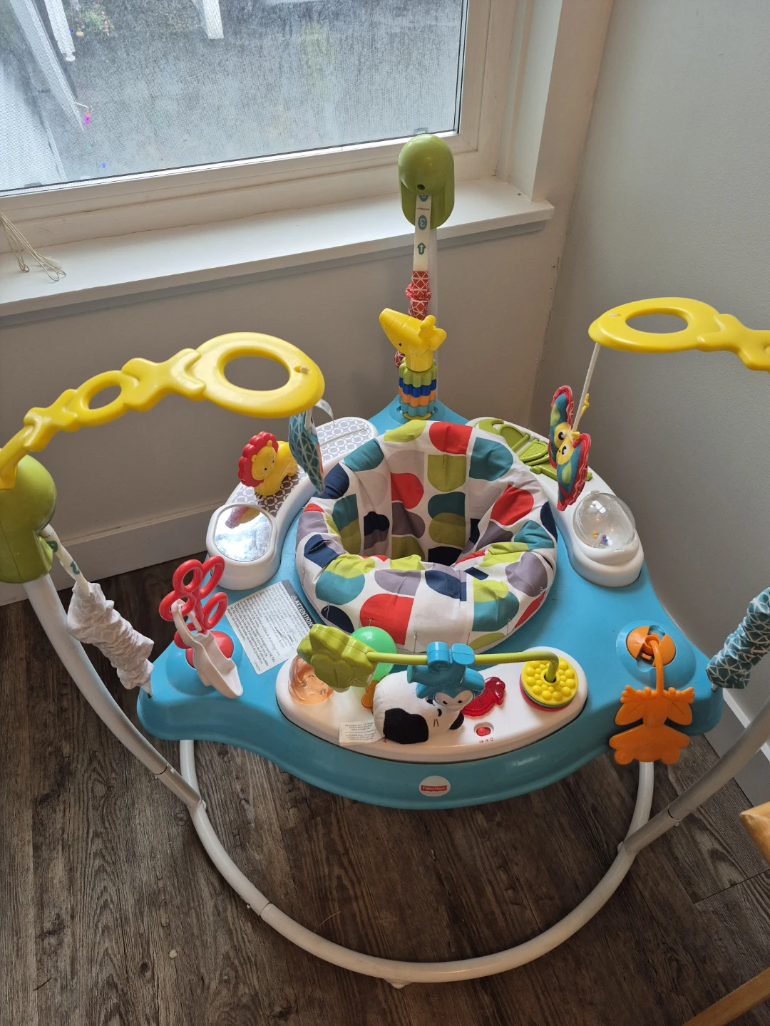 Fisher-Price Animal Wonders Jumperoo